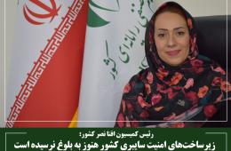 زیرساخت‌های امنیت سایبری کشور هنوز به بلوغ نرسیده‌ است