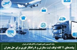 پیامد‌های 11 گانه توقف ثبت سفارش و 8 راهکار فوری برای حل بحران